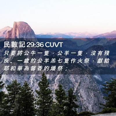 Picture 02 - 民 數 記 29:36 CUVT - 只 要 將 公 牛 一 隻 ， 公 羊 一 隻 - Bible Verse Picture