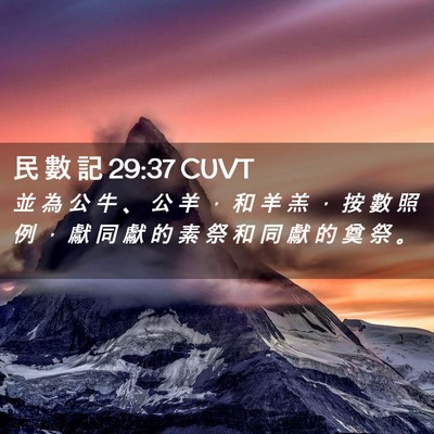 Picture 02 - 民 數 記 29:37 CUVT - 並 為 公 牛 、 公 羊 ， 和 羊 羔 ， - Bible Verse Picture