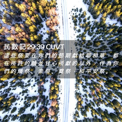 Picture 02 - 民 數 記 29:39 CUVT - 這 些 祭 要 在 你 們 的 節 期 獻 給 - Bible Verse Picture