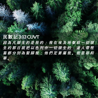 Picture 02 - 民 數 記 3:13 CUVT - 因 為 凡 頭 生 的 是 我 的 ； 我 在 - Bible Verse Picture