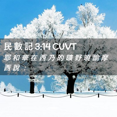 Picture 02 - 民 數 記 3:14 CUVT - 耶 和 華 在 西 乃 的 曠 野 曉 諭 摩 - Bible Verse Picture