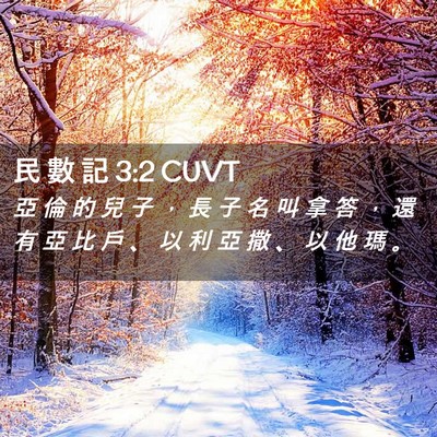 Picture 02 - 民 數 記 3:2 CUVT - 亞 倫 的 兒 子 ， 長 子 名 叫 拿 答 - Bible Verse Picture