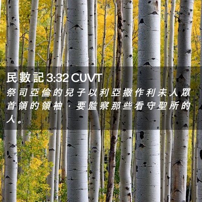 Picture 02 - 民 數 記 3:32 CUVT - 祭 司 亞 倫 的 兒 子 以 利 亞 撒 作 - Bible Verse Picture