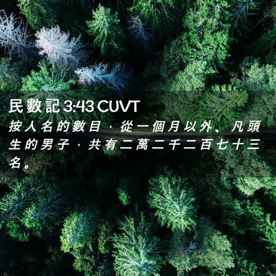 Picture 02 - 民 數 記 3:43 CUVT - 按 人 名 的 數 目 ， 從 一 個 月 以 - Bible Verse Picture