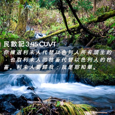 Picture 02 - 民 數 記 3:45 CUVT - 你 揀 選 利 未 人 代 替 以 色 列 人 - Bible Verse Picture
