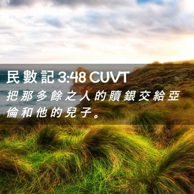 Picture 02 - 民 數 記 3:48 CUVT - 把 那 多 餘 之 人 的 贖 銀 交 給 亞 - Bible Verse Picture
