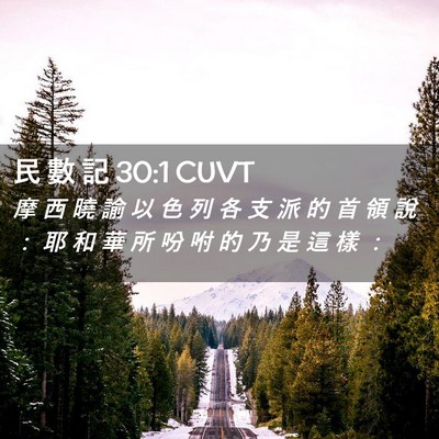 Picture 02 - 民 數 記 30:1 CUVT - 摩 西 曉 諭 以 色 列 各 支 派 的 首 - Bible Verse Picture
