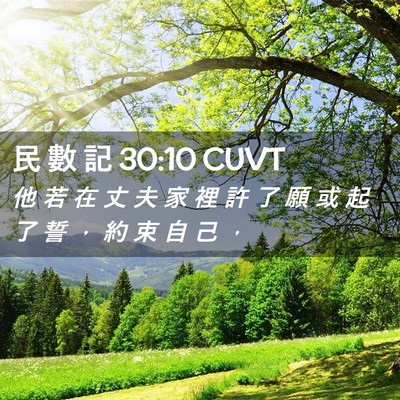 Picture 02 - 民 數 記 30:10 CUVT - 他 若 在 丈 夫 家 裡 許 了 願 或 起 - Bible Verse Picture