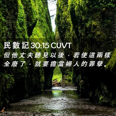 Picture 02 - 民 數 記 30:15 CUVT - 但 他 丈 夫 聽 見 以 後 ， 若 使 這 - Bible Verse Picture