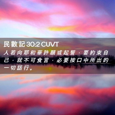 Picture 02 - 民 數 記 30:2 CUVT - 人 若 向 耶 和 華 許 願 或 起 誓 ， - Bible Verse Picture