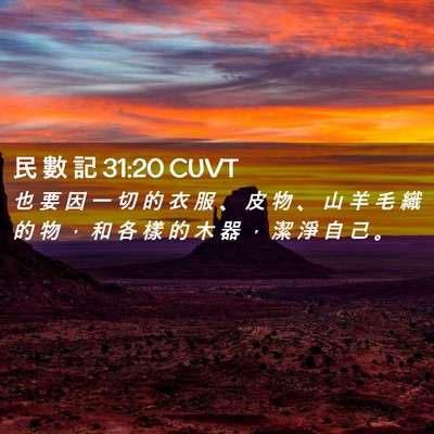 Picture 02 - 民 數 記 31:20 CUVT - 也 要 因 一 切 的 衣 服 、 皮 物 、 - Bible Verse Picture
