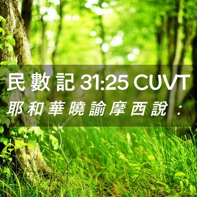 Picture 02 - 民 數 記 31:25 CUVT - 耶 和 華 曉 諭 摩 西 說 - Bible Verse Picture