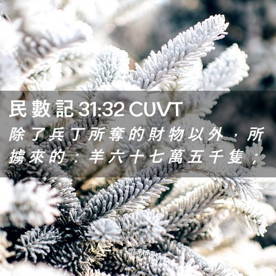 Picture 02 - 民 數 記 31:32 CUVT - 除 了 兵 丁 所 奪 的 財 物 以 外 ， - Bible Verse Picture