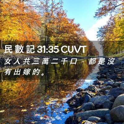 Picture 02 - 民 數 記 31:35 CUVT - 女 人 共 三 萬 二 千 口 ， 都 是 沒 - Bible Verse Picture
