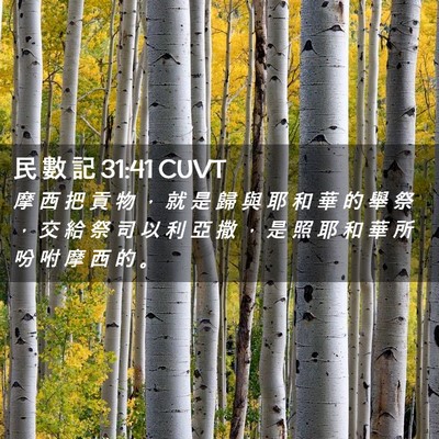 Picture 02 - 民 數 記 31:41 CUVT - 摩 西 把 貢 物 ， 就 是 歸 與 耶 和 - Bible Verse Picture