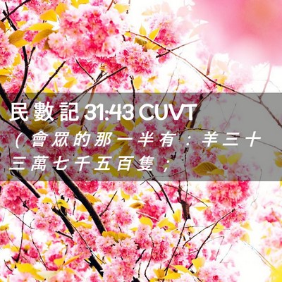 Picture 02 - 民 數 記 31:43 CUVT - （ 會 眾 的 那 一 半 有 ： 羊 三 十 - Bible Verse Picture