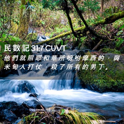 Picture 02 - 民 數 記 31:7 CUVT - 他 們 就 照 耶 和 華 所 吩 咐 摩 西 - Bible Verse Picture