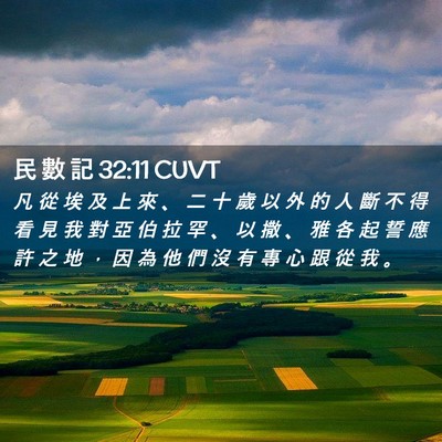 Picture 02 - 民 數 記 32:11 CUVT - 凡 從 埃 及 上 來 、 二 十 歲 以 外 - Bible Verse Picture