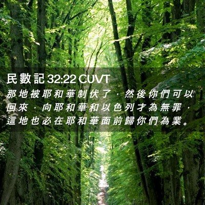 Picture 02 - 民 數 記 32:22 CUVT - 那 地 被 耶 和 華 制 伏 了 ， 然 後 - Bible Verse Picture