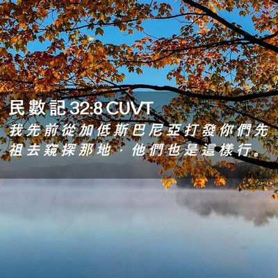 Picture 02 - 民 數 記 32:8 CUVT - 我 先 前 從 加 低 斯 巴 尼 亞 打 發 - Bible Verse Picture