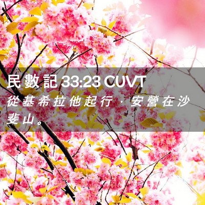 Picture 02 - 民 數 記 33:23 CUVT - 從 基 希 拉 他 起 行 ， 安 營 在 沙 - Bible Verse Picture