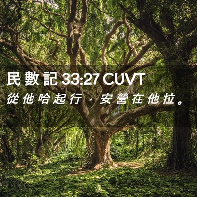 Picture 02 - 民 數 記 33:27 CUVT - 從 他 哈 起 行 ， 安 營 在 他 拉 - Bible Verse Picture
