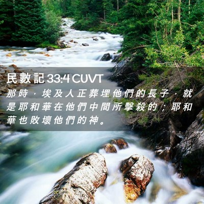 Picture 02 - 民 數 記 33:4 CUVT - 那 時 ， 埃 及 人 正 葬 埋 他 們 的 - Bible Verse Picture