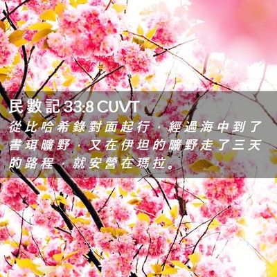 Picture 02 - 民 數 記 33:8 CUVT - 從 比 哈 希 錄 對 面 起 行 ， 經 過 - Bible Verse Picture