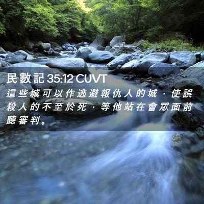 Picture 02 - 民 數 記 35:12 CUVT - 這 些 城 可 以 作 逃 避 報 仇 人 的 - Bible Verse Picture