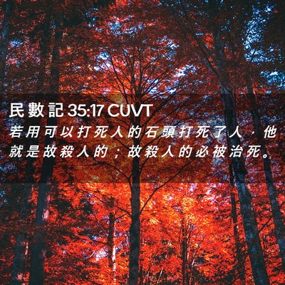 Picture 02 - 民 數 記 35:17 CUVT - 若 用 可 以 打 死 人 的 石 頭 打 死 - Bible Verse Picture