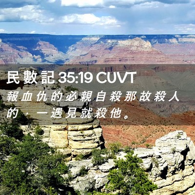 Picture 02 - 民 數 記 35:19 CUVT - 報 血 仇 的 必 親 自 殺 那 故 殺 人 - Bible Verse Picture