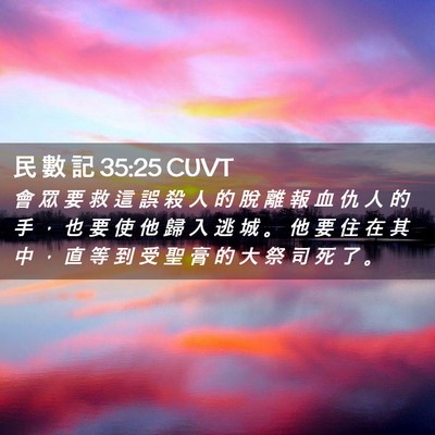 Picture 02 - 民 數 記 35:25 CUVT - 會 眾 要 救 這 誤 殺 人 的 脫 離 報 - Bible Verse Picture