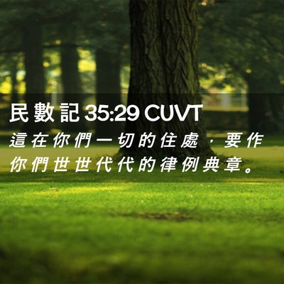 Picture 02 - 民 數 記 35:29 CUVT - 這 在 你 們 一 切 的 住 處 ， 要 作 - Bible Verse Picture