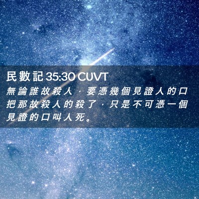 Picture 02 - 民 數 記 35:30 CUVT - 無 論 誰 故 殺 人 ， 要 憑 幾 個 見 - Bible Verse Picture