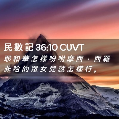 Picture 02 - 民 數 記 36:10 CUVT - 耶 和 華 怎 樣 吩 咐 摩 西 ， 西 羅 - Bible Verse Picture