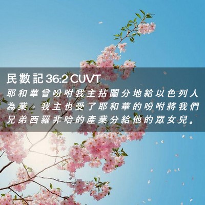 Picture 02 - 民 數 記 36:2 CUVT - 耶 和 華 曾 吩 咐 我 主 拈 鬮 分 地 - Bible Verse Picture