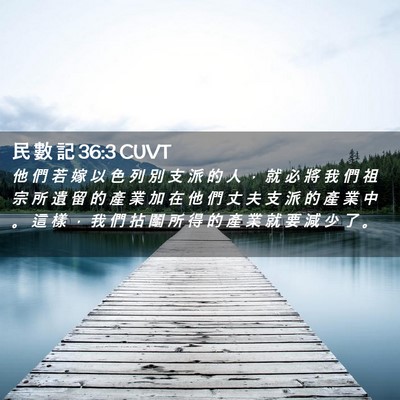 Picture 02 - 民 數 記 36:3 CUVT - 他 們 若 嫁 以 色 列 別 支 派 的 人 - Bible Verse Picture