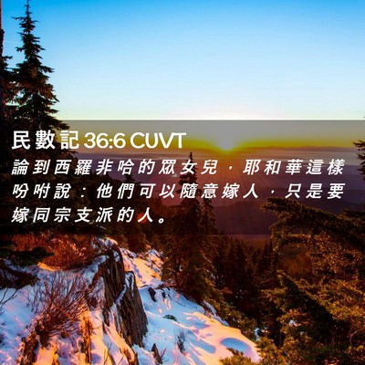 Picture 02 - 民 數 記 36:6 CUVT - 論 到 西 羅 非 哈 的 眾 女 兒 ， 耶 - Bible Verse Picture