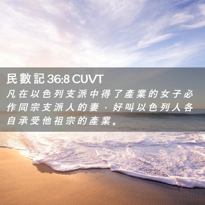 Picture 02 - 民 數 記 36:8 CUVT - 凡 在 以 色 列 支 派 中 得 了 產 業 - Bible Verse Picture