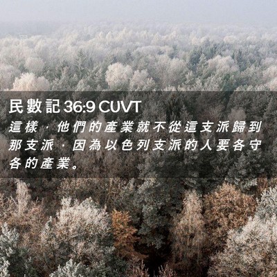 Picture 02 - 民 數 記 36:9 CUVT - 這 樣 ， 他 們 的 產 業 就 不 從 這 - Bible Verse Picture