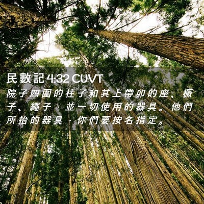 Picture 02 - 民 數 記 4:32 CUVT - 院 子 四 圍 的 柱 子 和 其 上 帶 卯 - Bible Verse Picture