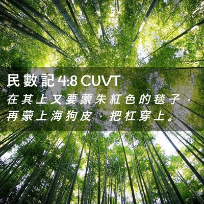 Picture 02 - 民 數 記 4:8 CUVT - 在 其 上 又 要 蒙 朱 紅 色 的 毯 子 - Bible Verse Picture