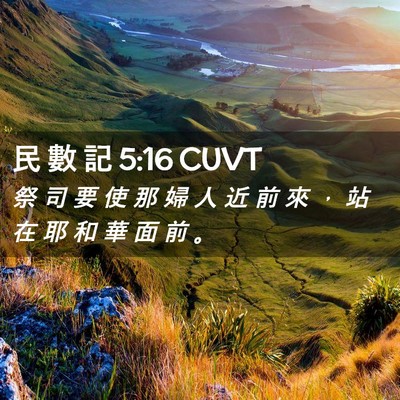 Picture 02 - 民 數 記 5:16 CUVT - 祭 司 要 使 那 婦 人 近 前 來 ， 站 - Bible Verse Picture