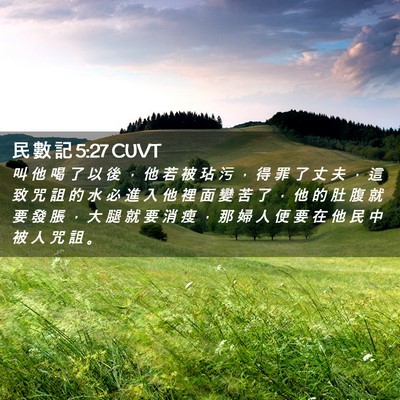 Picture 02 - 民 數 記 5:27 CUVT - 叫 他 喝 了 以 後 ， 他 若 被 玷 污 - Bible Verse Picture