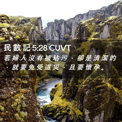 Picture 02 - 民 數 記 5:28 CUVT - 若 婦 人 沒 有 被 玷 污 ， 卻 是 清 - Bible Verse Picture