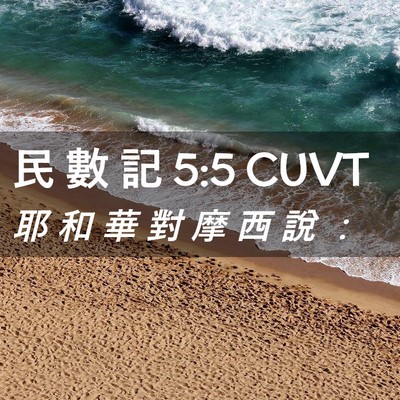 Picture 02 - 民 數 記 5:5 CUVT - 耶 和 華 對 摩 西 說 - Bible Verse Picture