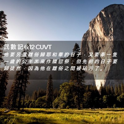 Picture 02 - 民 數 記 6:12 CUVT - 他 要 另 選 離 俗 歸 耶 和 華 的 日 - Bible Verse Picture