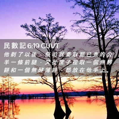 Picture 02 - 民 數 記 6:19 CUVT - 他 剃 了 以 後 ， 祭 司 就 要 取 那 - Bible Verse Picture