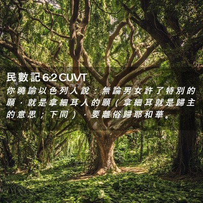 Picture 02 - 民 數 記 6:2 CUVT - 你 曉 諭 以 色 列 人 說 ： 無 論 男 - Bible Verse Picture