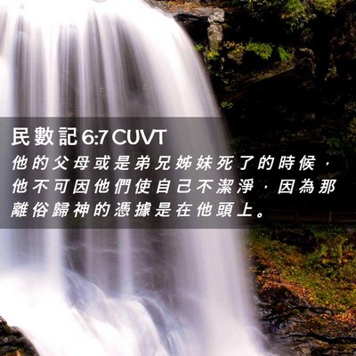 Picture 02 - 民 數 記 6:7 CUVT - 他 的 父 母 或 是 弟 兄 姊 妹 死 了 - Bible Verse Picture